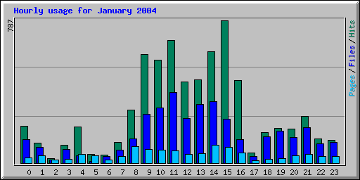 Hourly usage for January 2004